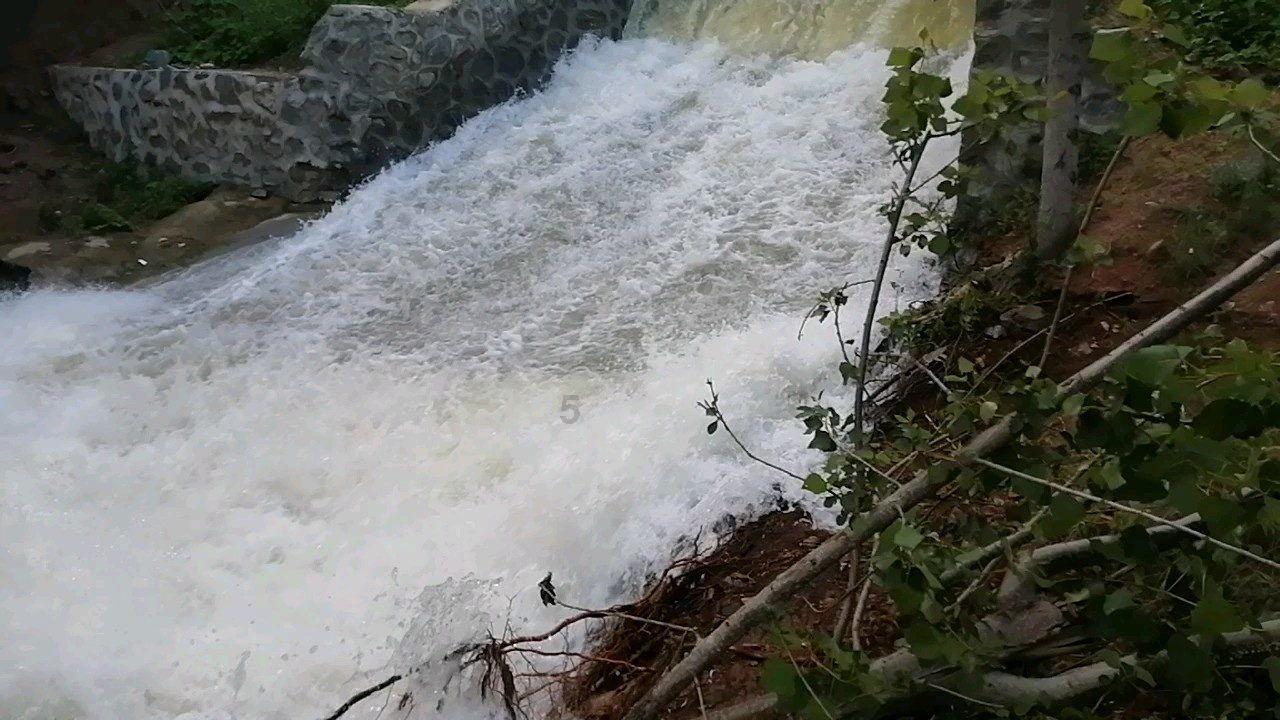 逃出猫头鹰岛
